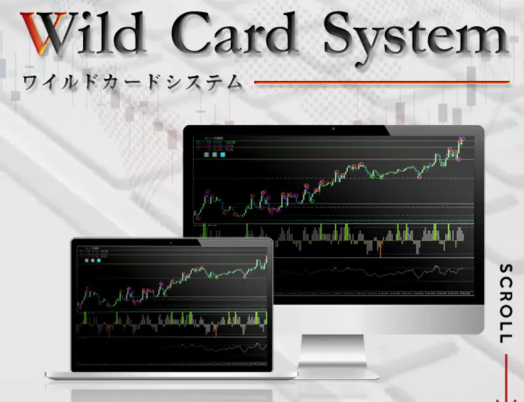 WildCardSystem